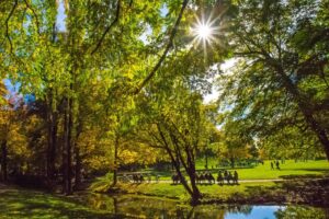 Englischer Garten, © München Tourismus, Werner Boehm